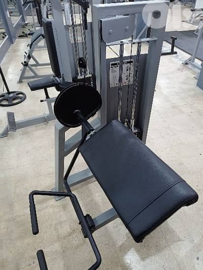 BICEPS SEATED BENCH WITH WEIGHTS 03027072 GEO SPORTS AND GYM EQUIPMENT