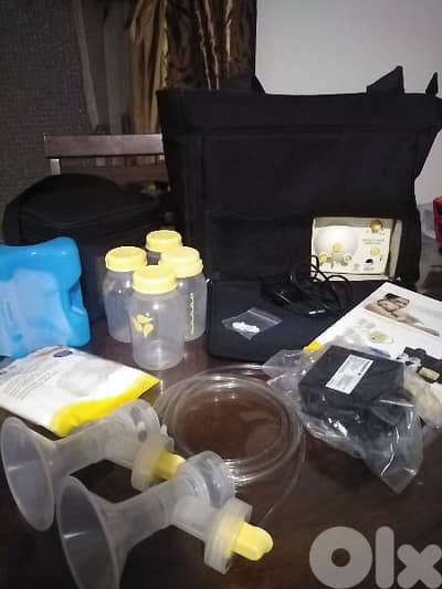 medela double pump bag 180$