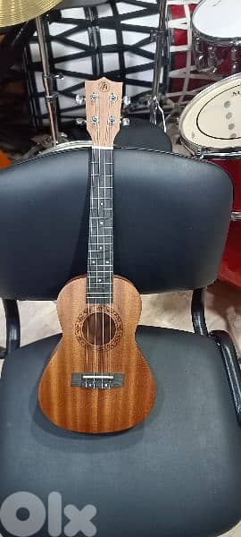 concert ukulele 23"