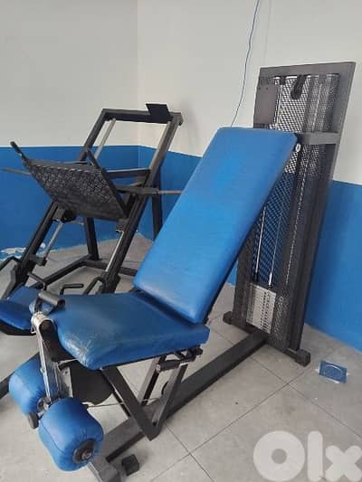American Legs extention techno Gym  03027072جميع المعدات الرياضية د