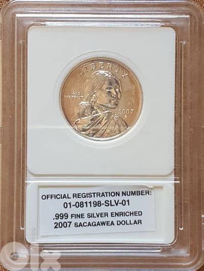 usa coin
