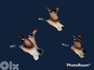 3 Vintage 1950 wall graduated ceramic flying ducks for sale