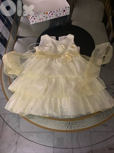Beautiful dress for special occasions