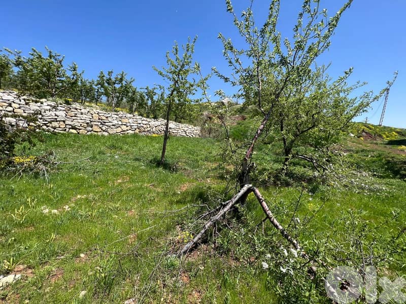 1430 m2 land + mountain view for sale in Laqlouq ارض للبيع في اللقلوق 1