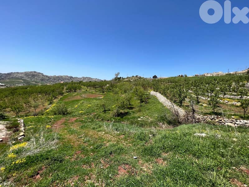 1430 m2 land + mountain view for sale in Laqlouq ارض للبيع في اللقلوق 2