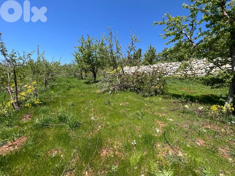 1430 m2 land + mountain view for sale in Laqlouq ارض للبيع في اللقلوق 3