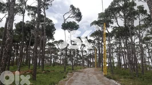 L12332-A Unique Land With Amazing Green View for Sale In Bolonia