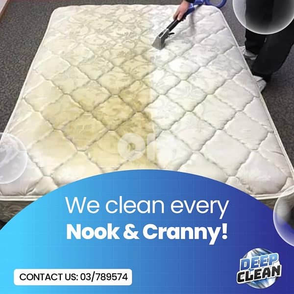 Professional Deep CLean 5