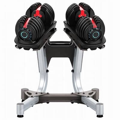 Adjustable dumbbells (with stand)