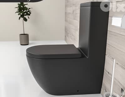 toilet seat
