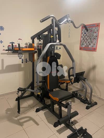 Deluxe Home gym (3 stations)